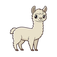 black and white sheep