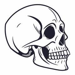 skull and crossbones