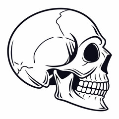 skull and bones