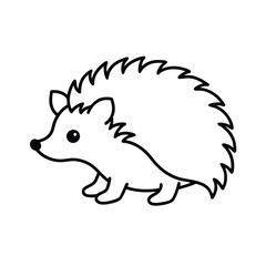 hedgehog on a white background