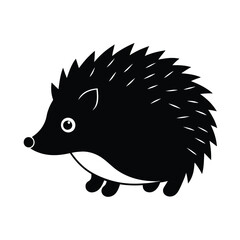 hedgehog on a white background