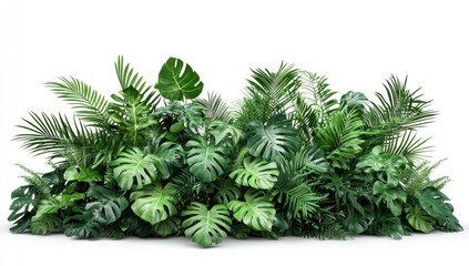 Lush Tropical Foliage: A Vibrant Collection of Green Plants