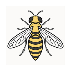 bee illustration