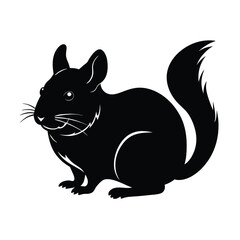 illustration of a squirrel