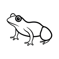 frog on white background