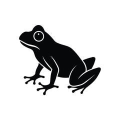 frog on a white background