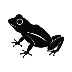 frog on a white background