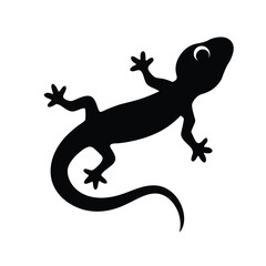gecko on a white background