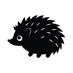 hedgehog on a white background