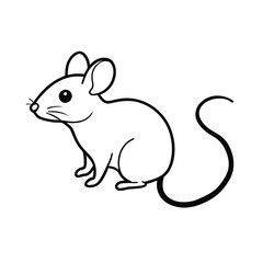 squirrel on a white background