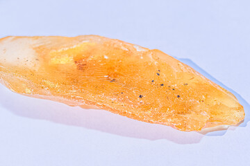 Amber Raw Crystal with fossilized insects
