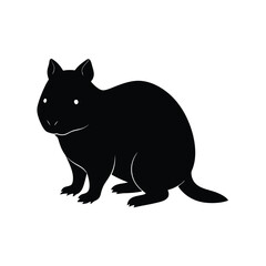 black cat illustration