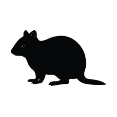 silhouette of a mouse