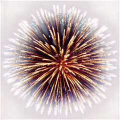Firework PNG — Isolated Transparent Background