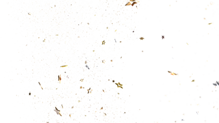 XMAS Festive christmas card. Isolated illustration white background. -