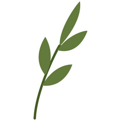 Hand drawn pretty green leaf illustration. Botanical clipart