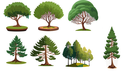 Collection Of Trees Vector illustration