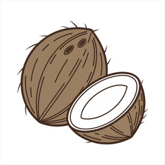 Coconut vector art illustration