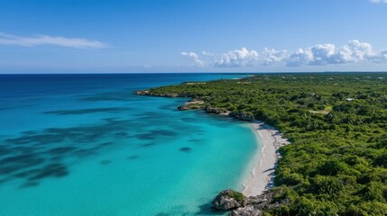 Fototapeta premium Caribbean Coastal Paradise: Turquoise Waters and Lush Greenery