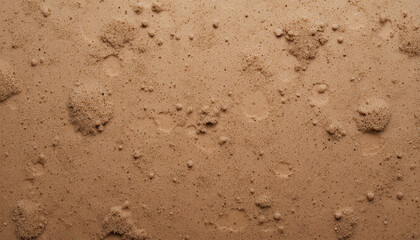 Fototapeta premium Close-up view of a textured, sandy surface with small depressions.