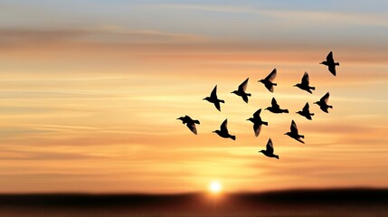 Fototapeta premium A graceful flock of birds soars through the beautiful golden sky at sunset, close to a serene and tranquil horizon