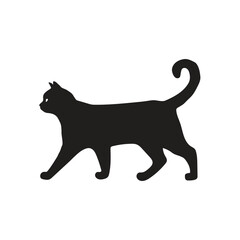 Cat Illustration Vector With White Background.