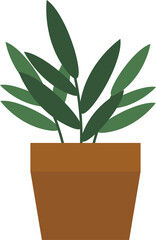 plant in a pot leaf