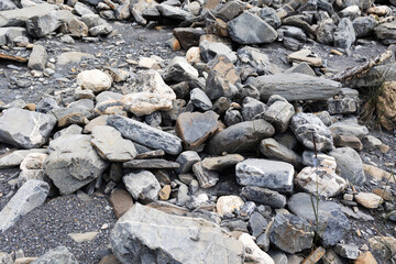 Global warming concept . Dry mountain river