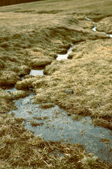 Grassland Stream: Serene Waters in Nature’s Lap 