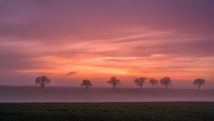 Ostfriesland im Winter - Nebliger Sonnenaufgang bei Wolthusen - Winter Wonderland - Nebliger Winter-Sonnenaufgang - Gr&uuml;nkohlwetter in Ostfriesland - Winterzauber