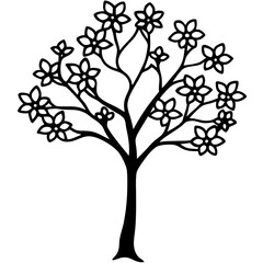  prunes serrulata tree line art vector illustration 
