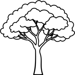 Fototapeta premium jacaranda mimosifolia tree line art vector illustration 