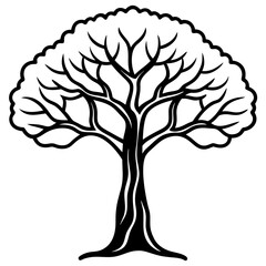 Obraz premium banyan tree line art vector illustration 