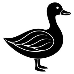 duck isolated on white background