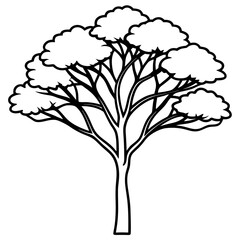 jacaranda line art vector illustration 