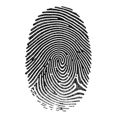 Human ink fingerprint isolated on white or transparent background, clear details, biometric identification
