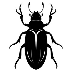 stag beetle illustration