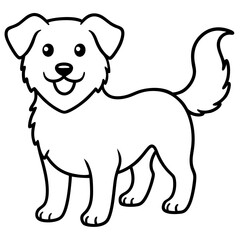 black and white dog