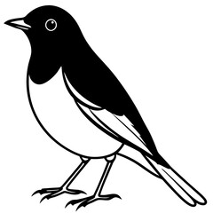  American robin silhouette vector illustration