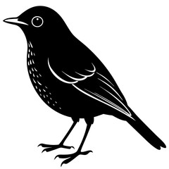  American robin silhouette vector illustration