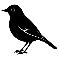  American robin silhouette vector illustration
