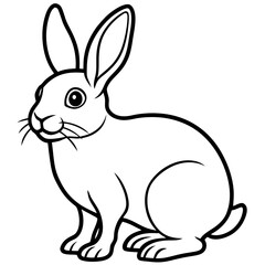 white rabbit isolated on white