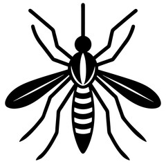 dragonfly on white background