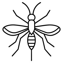black and white mosquito