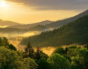 a misty morning in the mountains with layers of lush green trees and a golden sky