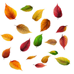 Obraz premium Scattered autumn leaves in vibrant colors on transparent background