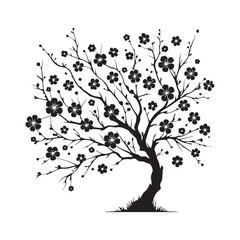 Stylish Cherry Blossom Tree silhouette for artistic and modern visuals - Cherry Blossom silhouette - Cherry Blossom vector - Cherry Blossom illustration - Blossom silhouette - Blossom vector
