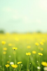 Fototapeta premium Serene Meadow Yellow Wildflowers in a Soft Focus Landscape Featuring Delicate Blooms and a Gentle Breeze
