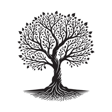 recommend clip art: Fig Tree silhouette with a natural and organic shape - Fig tree silhouette - Fig tree vector - Fig tree illustration - Fig silhouette - Fig vector
                    