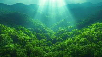 Obraz premium Lush Green Mountains Basking In Sunlight